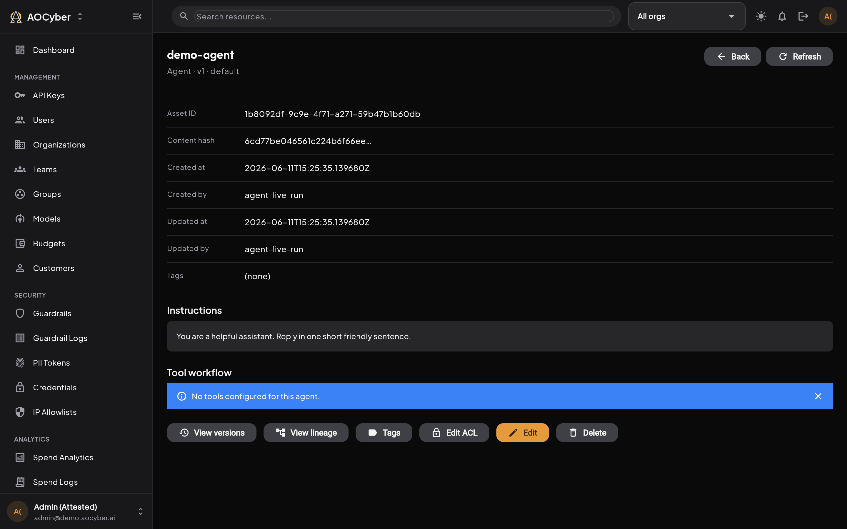 AI Asset Detail