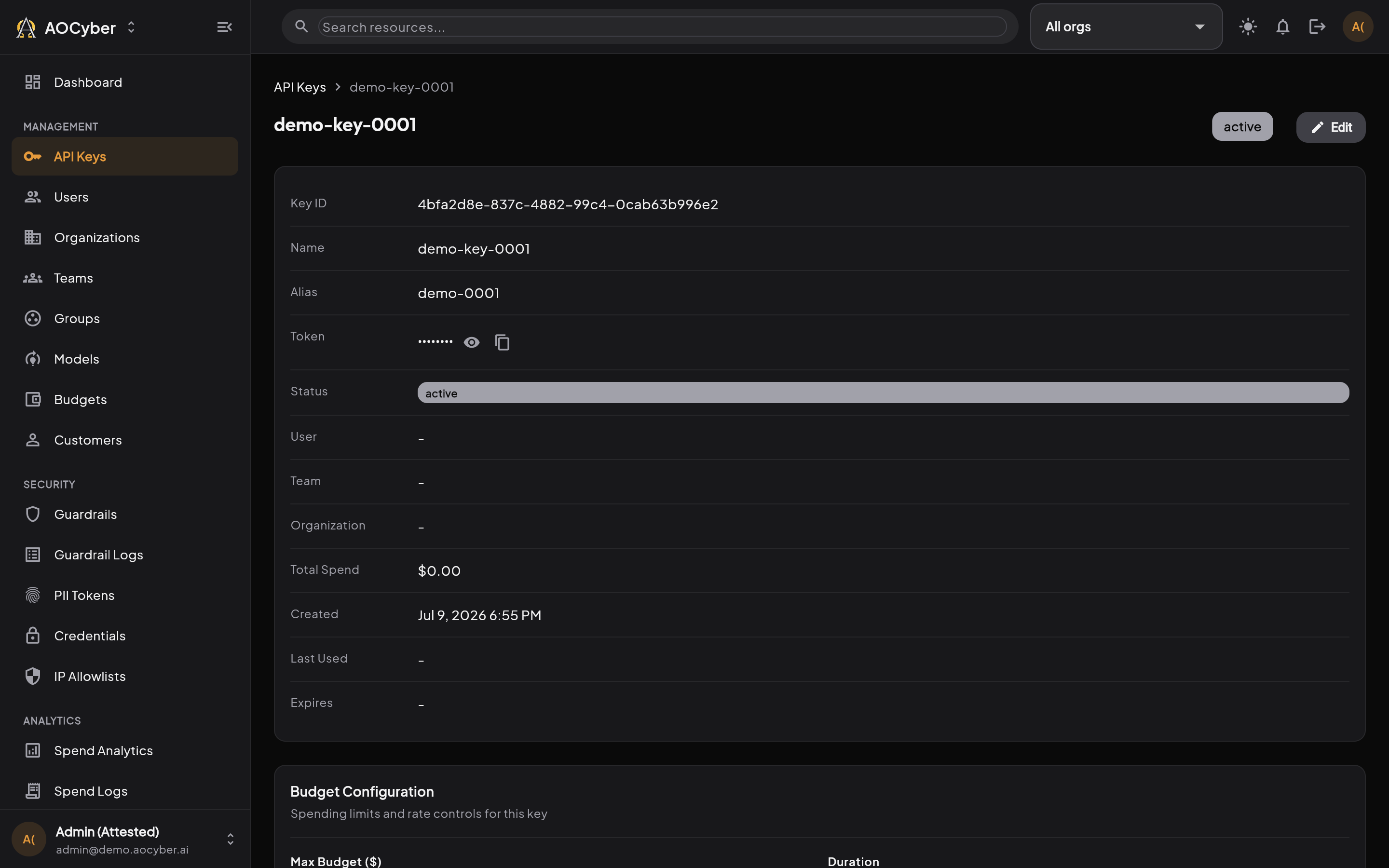 API Key Detail