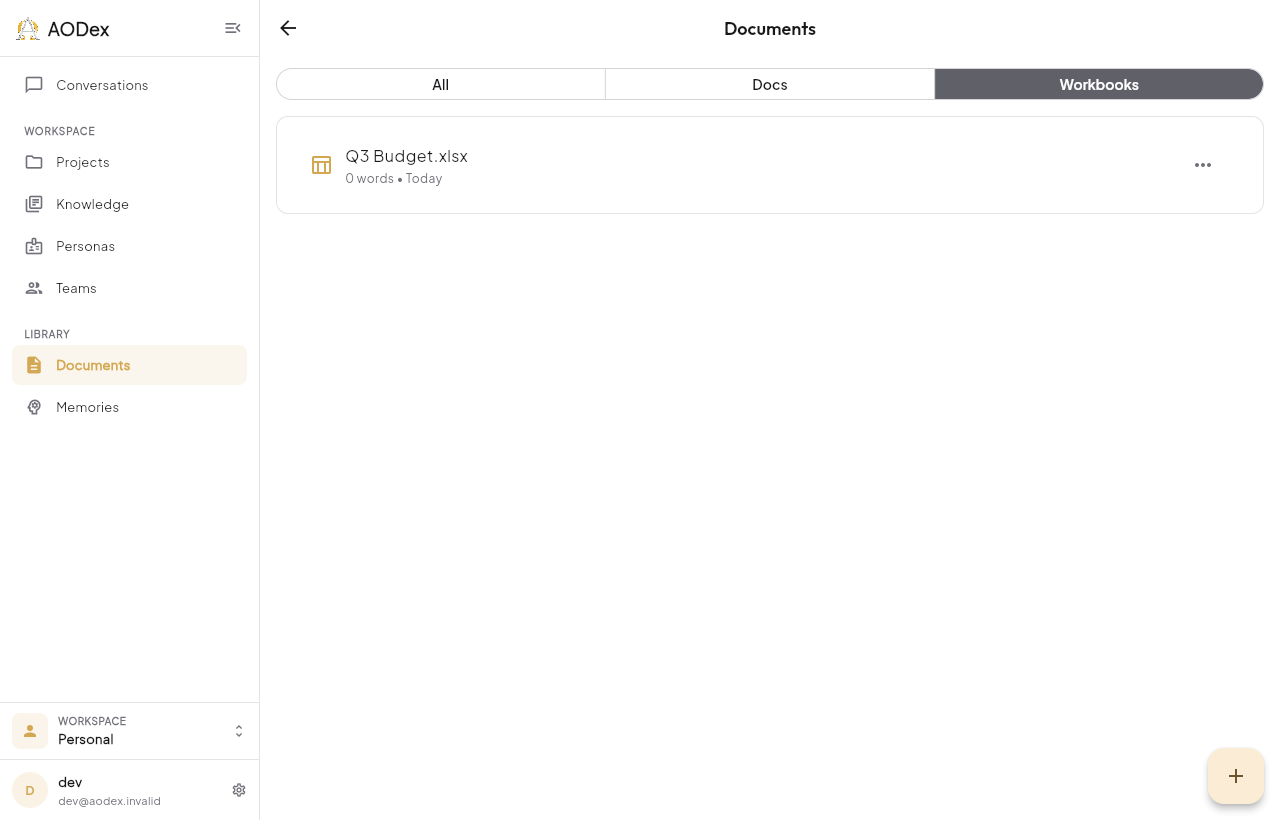 The Workbooks filter in the Documents library